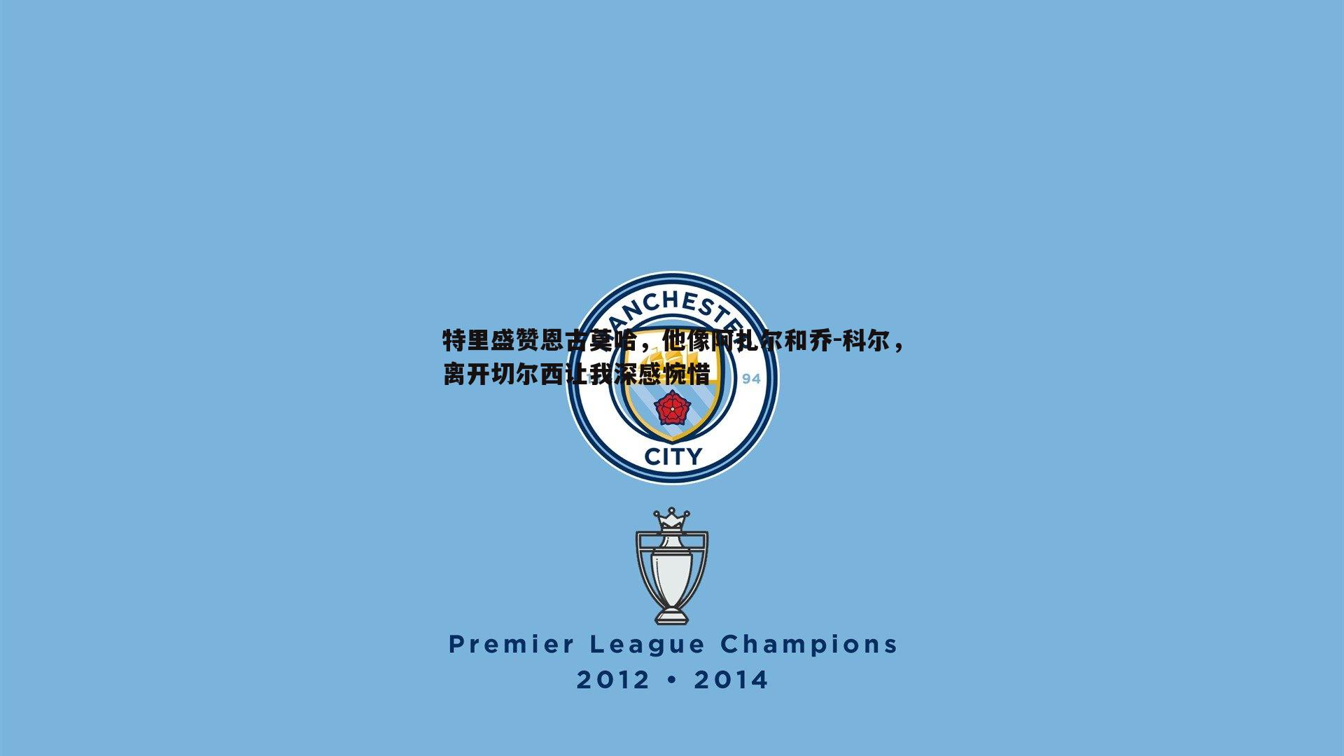 特里盛赞恩古莫哈,他像阿扎尔和乔-科尔,离开切尔西让我深感惋惜